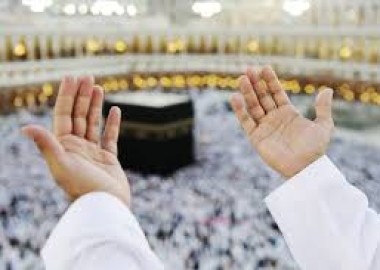 Pronetspace Product Image